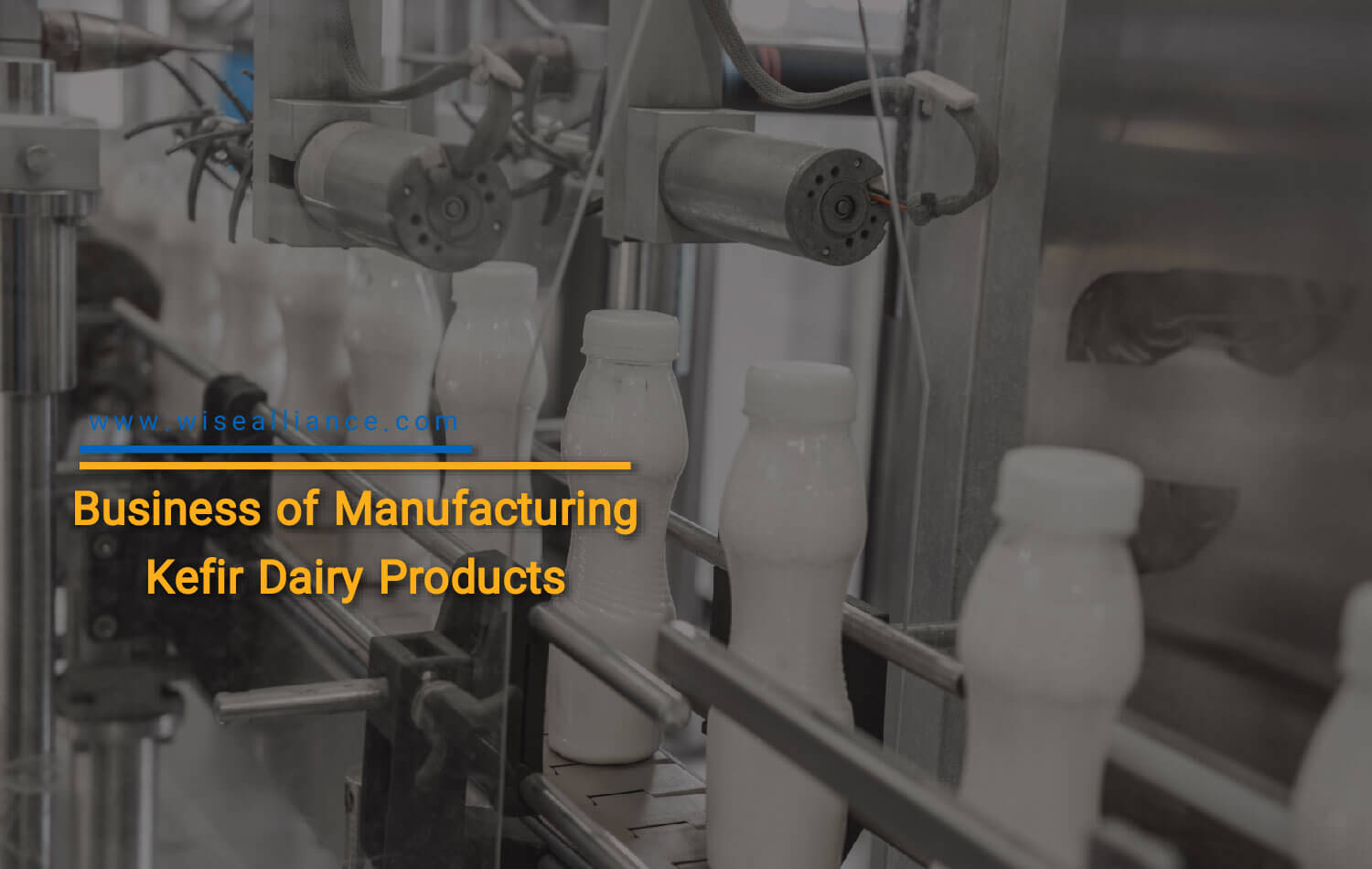 Business of Manufacturing Kefir Dairy Products