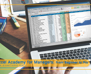Excel Acedmy for Managers
